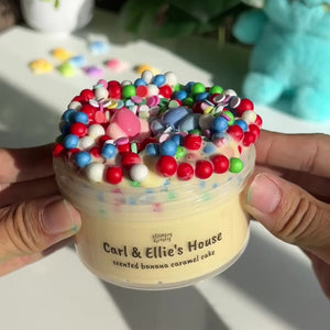 Carl & Ellie's House