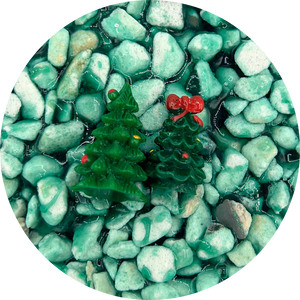 Enchanted Pine Tree Forest