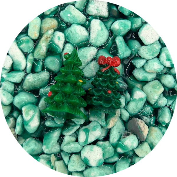 Enchanted Pine Tree Forest