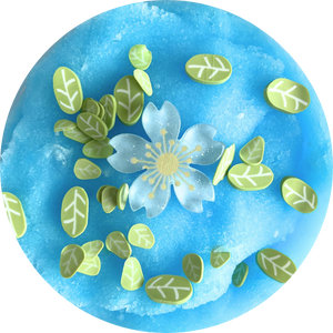 Sliimeyhoney's Monthly Subscription Box