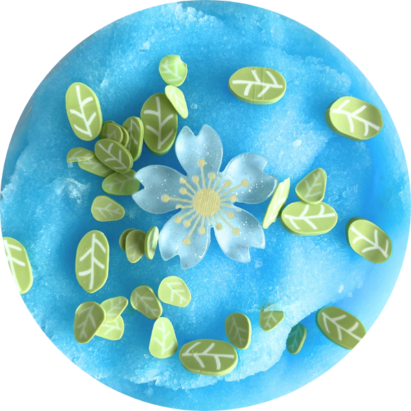 Sliimeyhoney's Monthly Subscription Box