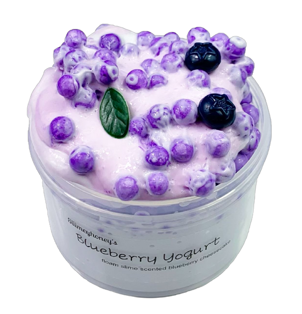 Blueberry Yogurt