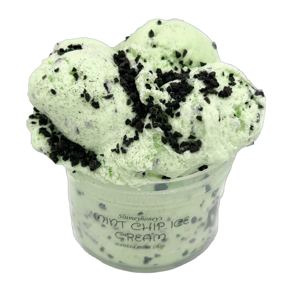 Mint Chip Ice Cream