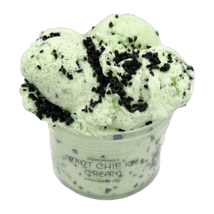 Mint Chip Ice Cream