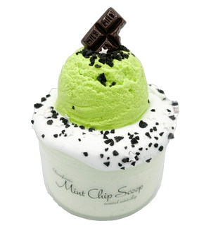 Mint Chip Scoop