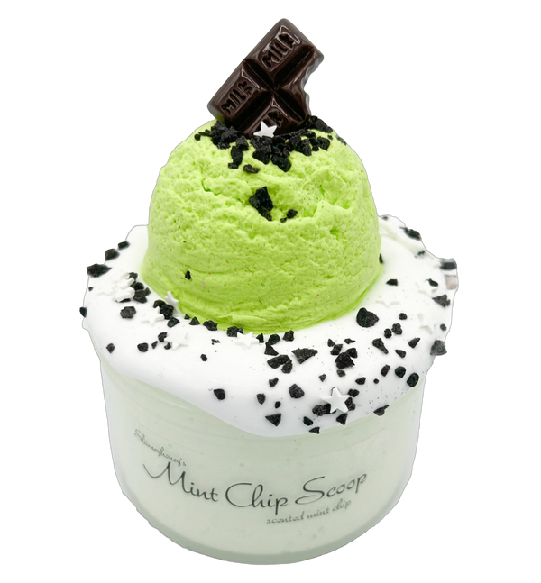 Mint Chip Scoop