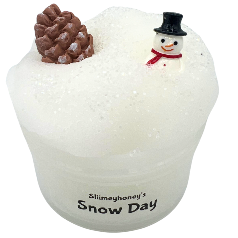 Snow Day