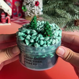 Enchanted Pine Tree Forest