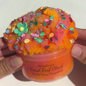 Coral Reef Cloud